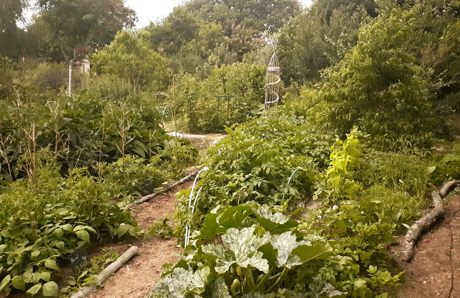 Jardin-forêt conçu avec la permaculture, un coin de paradis en Bretagne