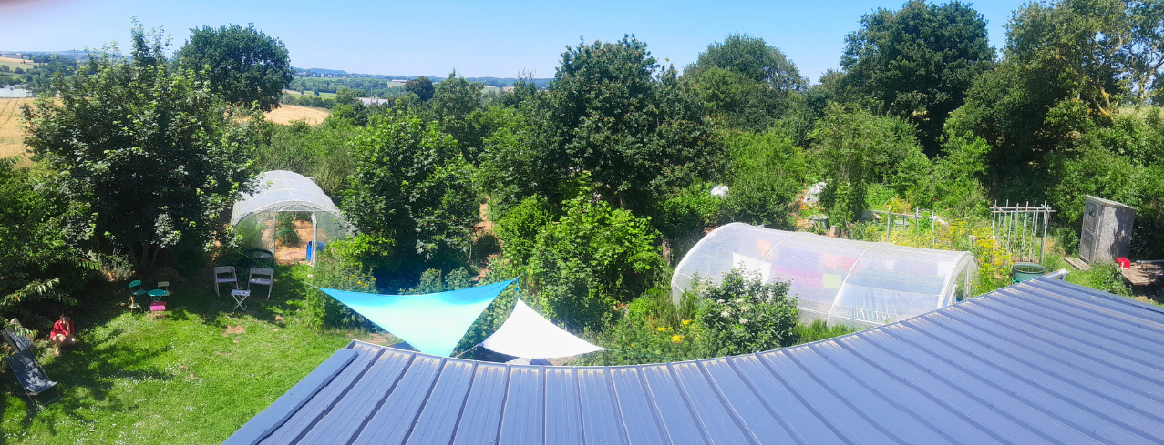 Panoramique d'une partie du jardin-forêt conçu avec la permaculture.