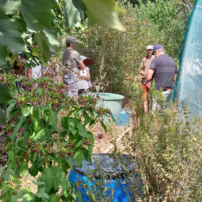 Visite du jardin-forêt conçu avec la permaculture "Un coin de paradis" en Bretagne
